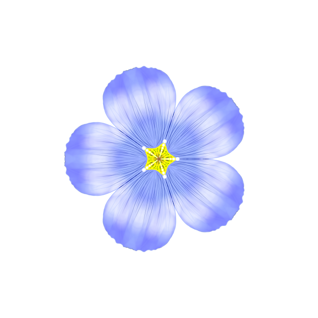 Flax flowers🧚🏻‍♀️