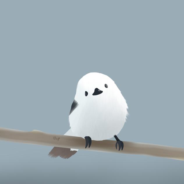 Shimaenaga