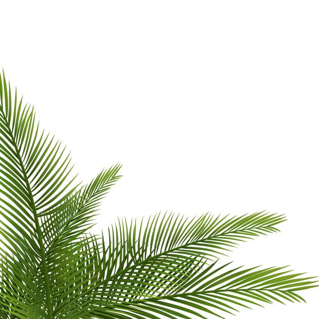 palm decoration or frame