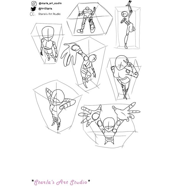 anatomy