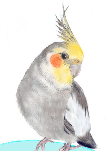 無題77