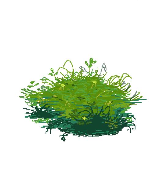 grass
