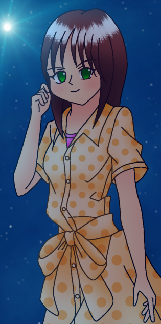 きつねのコンピューター  夜中の散歩