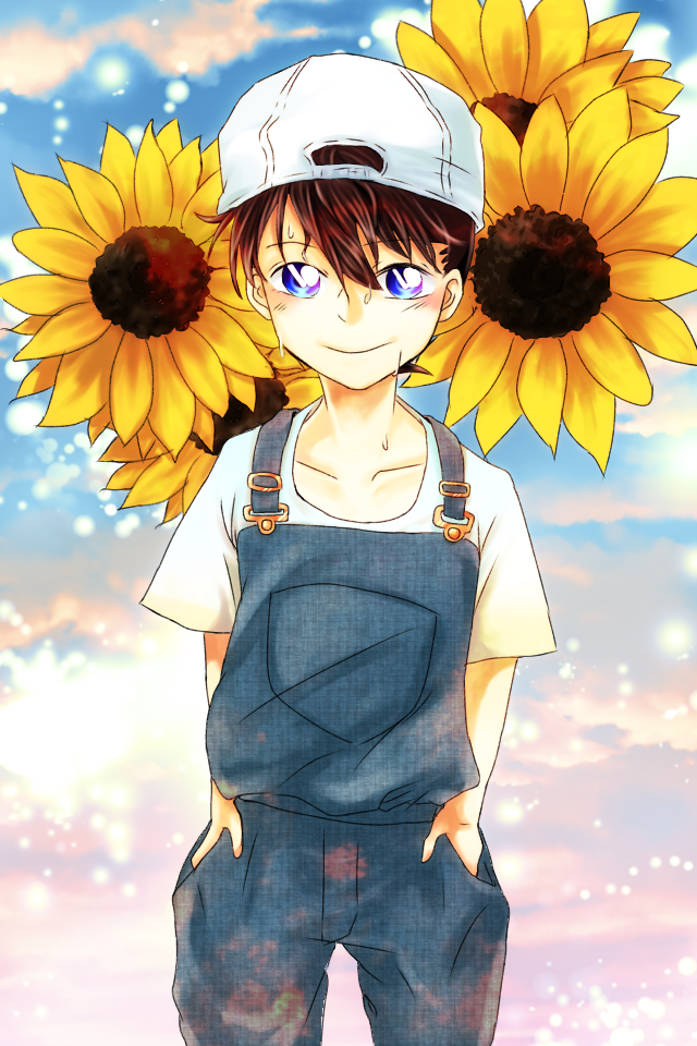 ひまわり - ibisPaint
