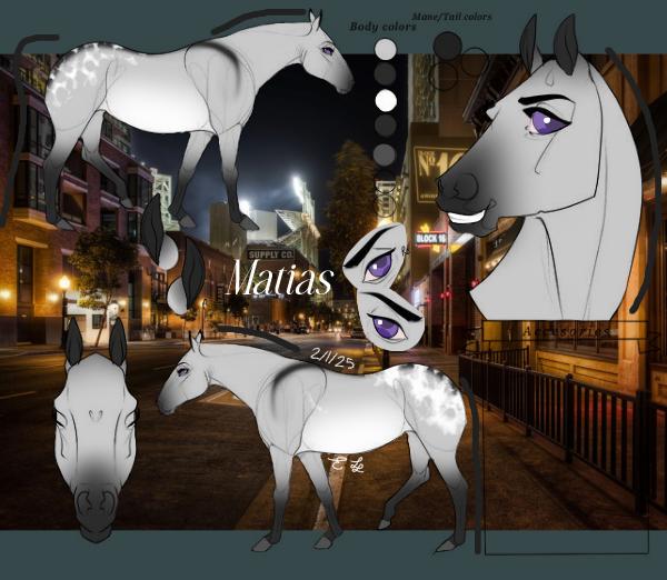 ~ Matias ~