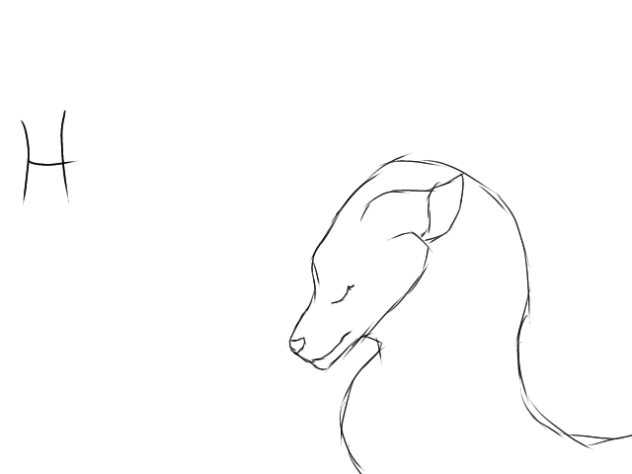 Animation Test!