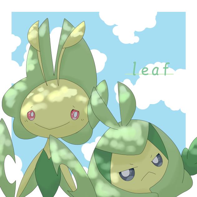 leaf