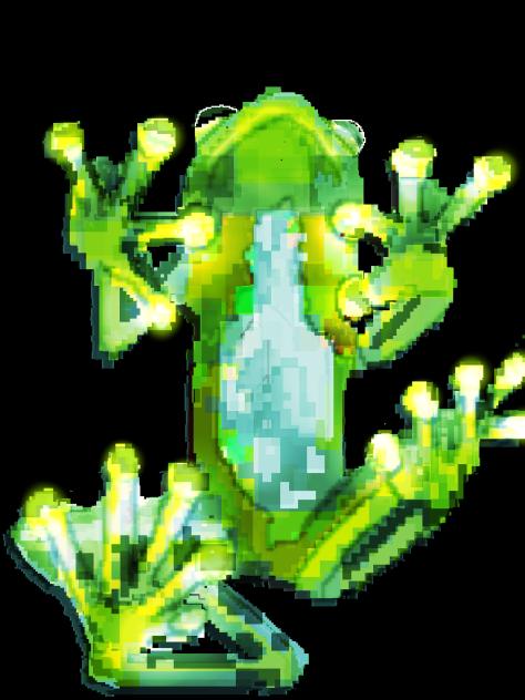hyalinobatrachium viridissimum 🐸