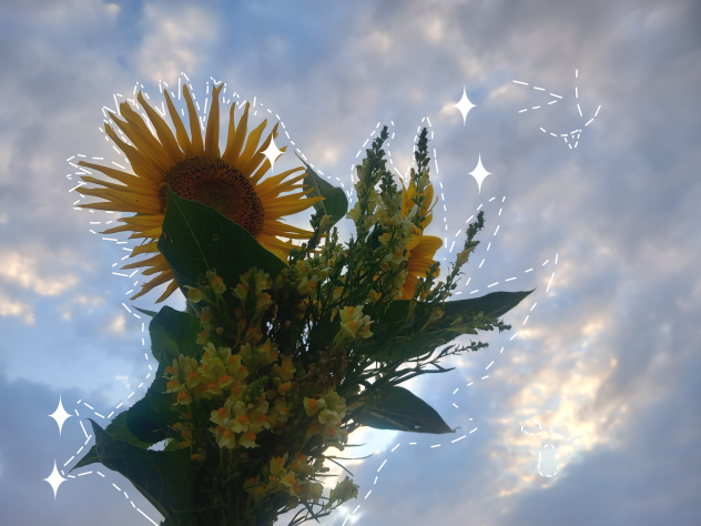 flowers - ibisPaint