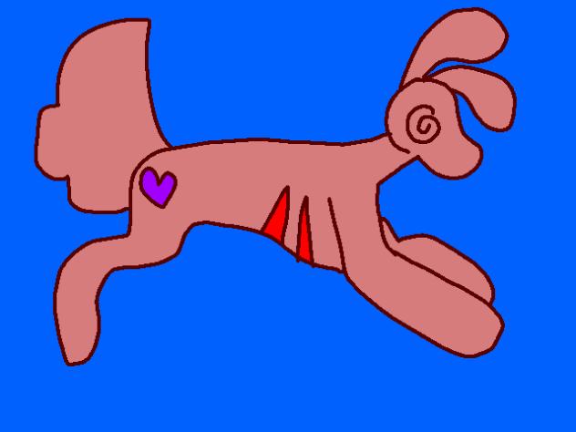 Jacko the donkey rabbit