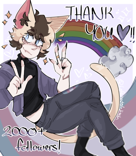 2000 + FOLLOWERS!!