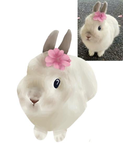 Bunny - ibisPaint