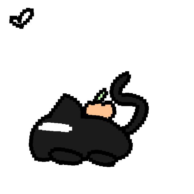 kitty pumpkim