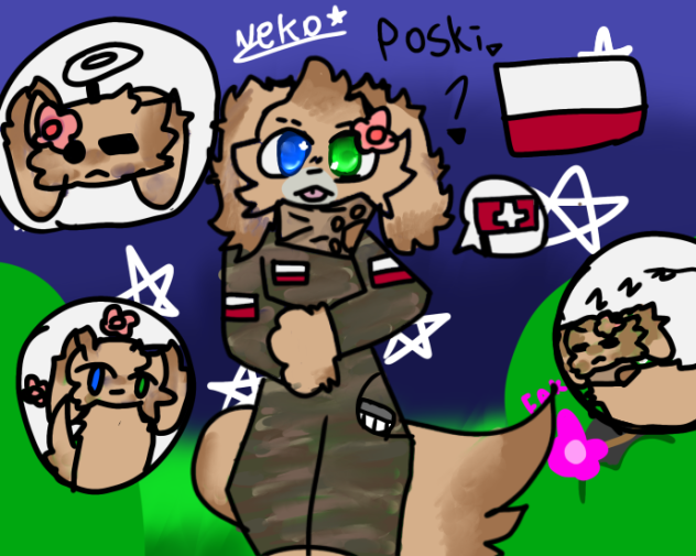 Polish doggo. (Polski psiak.)