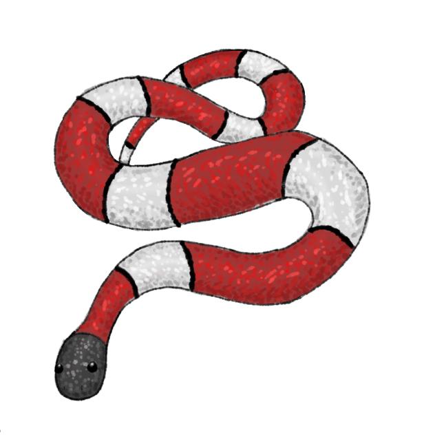 Snek 😝