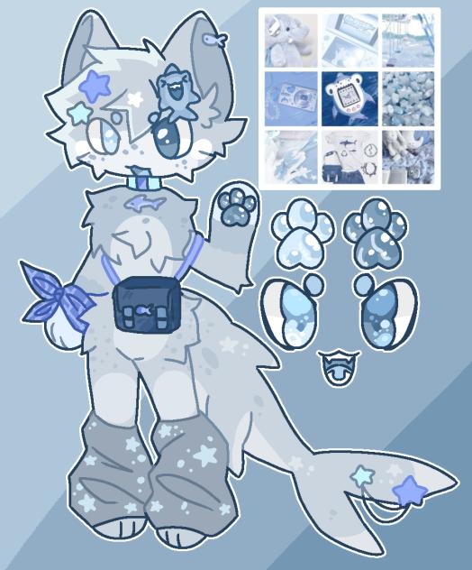 shark custom