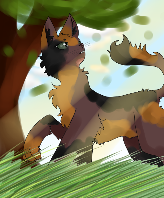 Gift for Aubrey Koppel☺🐈