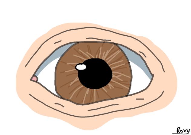 Eye 👁️