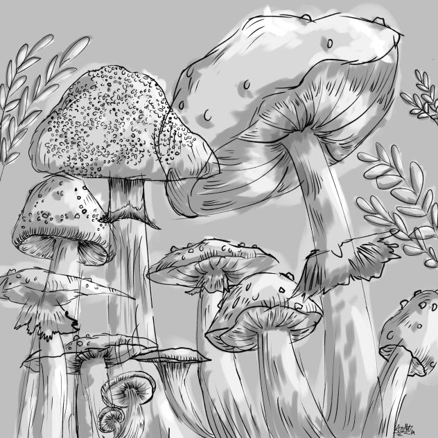 doodle