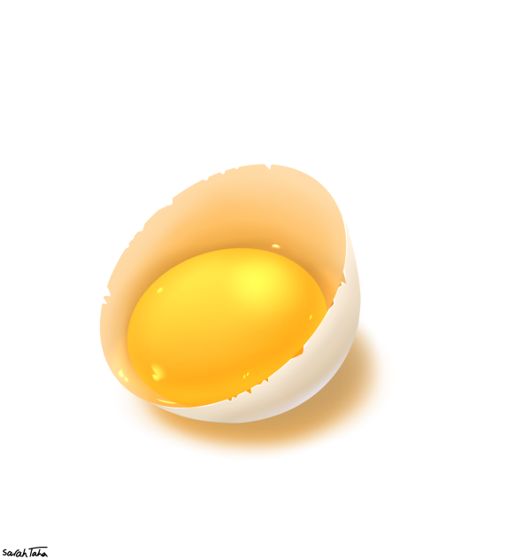 Egg study