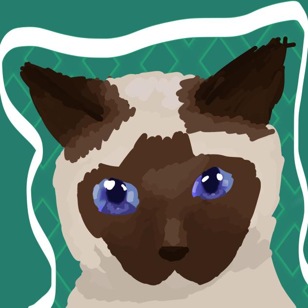 シャム猫