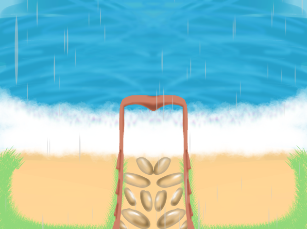 Another beach - ibisPaint