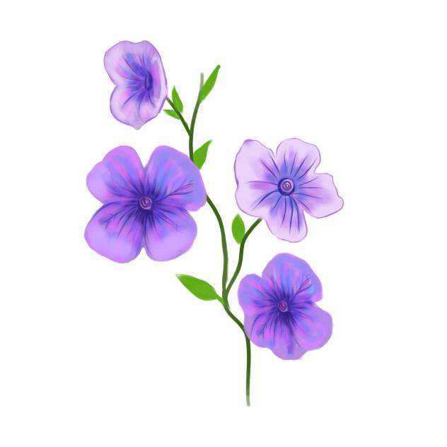 Petunias Flowers