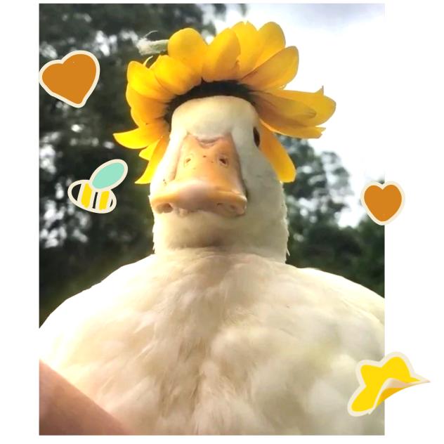 TJIGNTHFNFVRHKNFTKNFKTHNGHVNTHKGNKHTGNGH