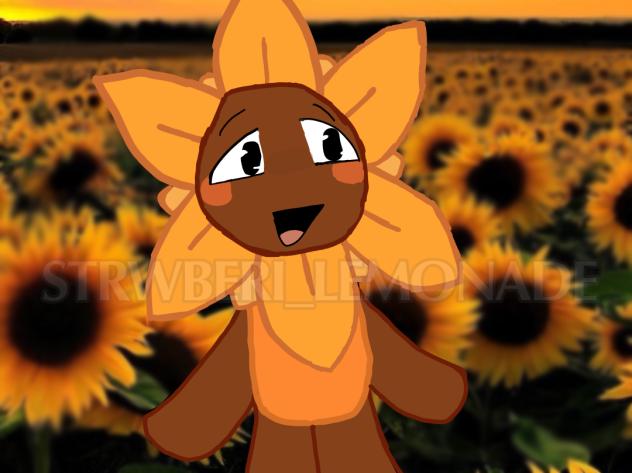 SUNNY FA