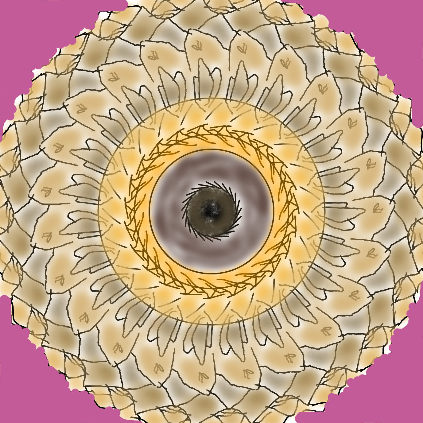 Flower - ibisPaint