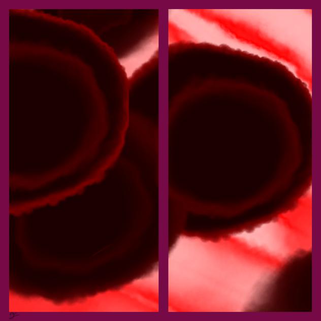 557 Blood Cells