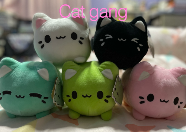 Cat plushies