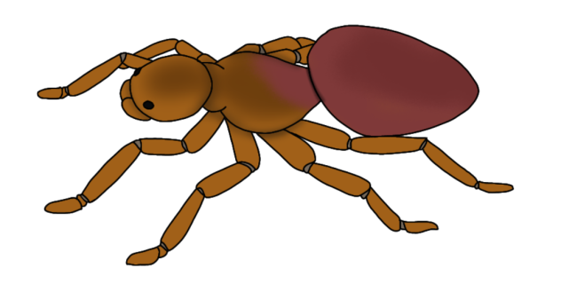Maroon Frog Spider render