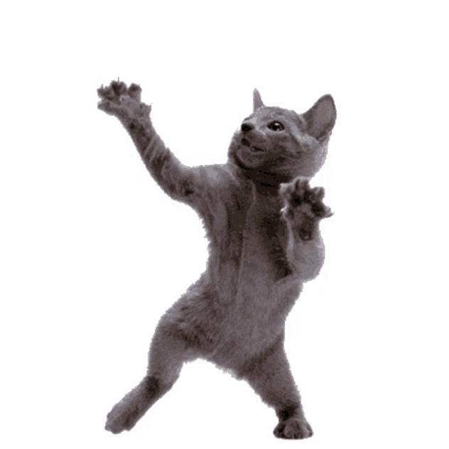 DANCE!