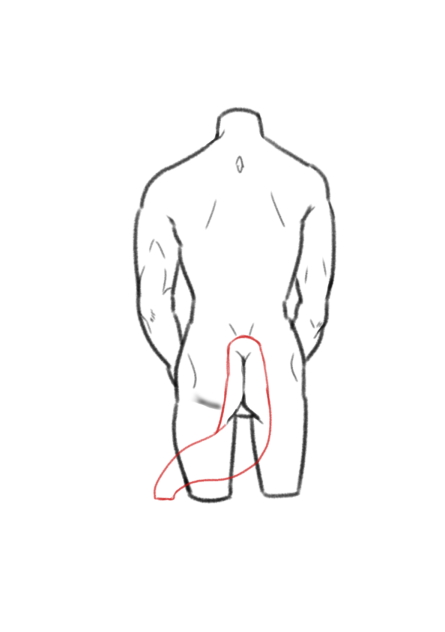 kind draw study3.20 1710