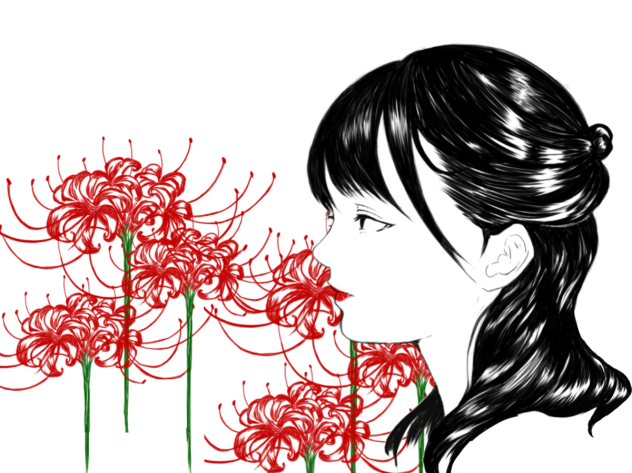 彼岸花の花言葉