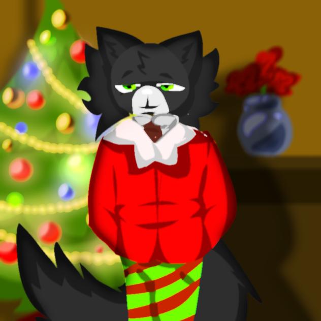 19 days till Christmas!
