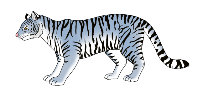 Maltese Tiger