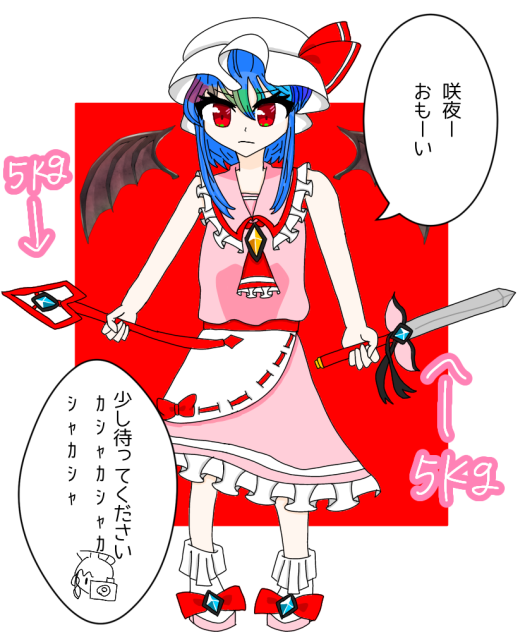 紅魔館の戦うお嬢様(裏側)