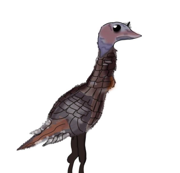 Female Turkey
