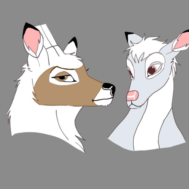 deer