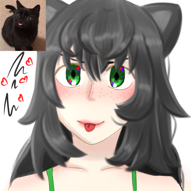 gatoooo