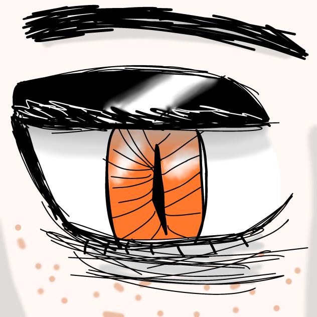 The Eye of a Cat