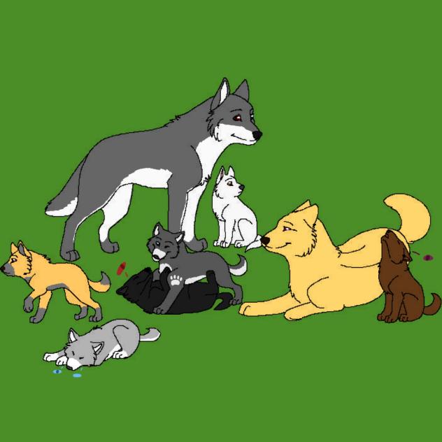 Wolfy’s family old designs.