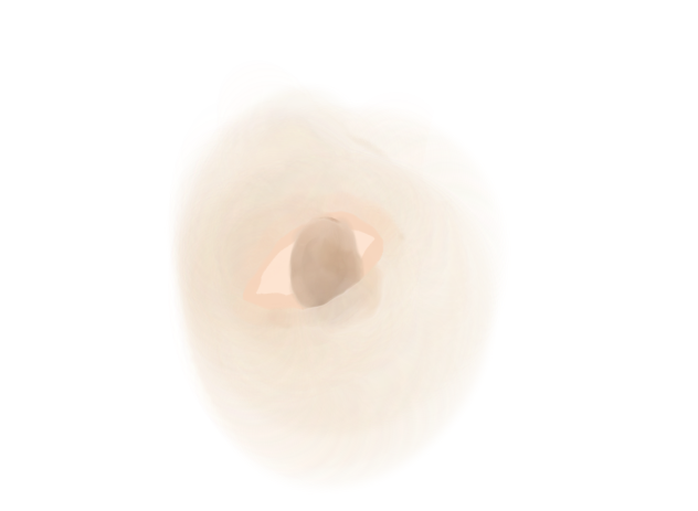 eye