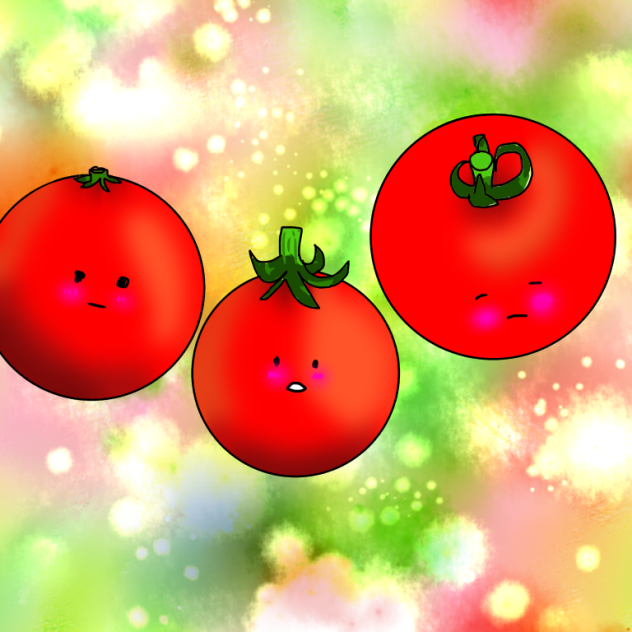 とまと🍅🍅🍅