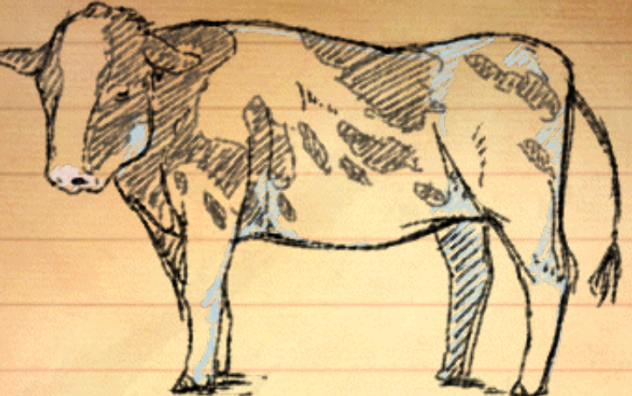 Cow