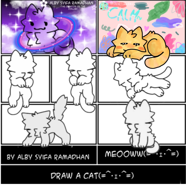 😼😼😼😼
