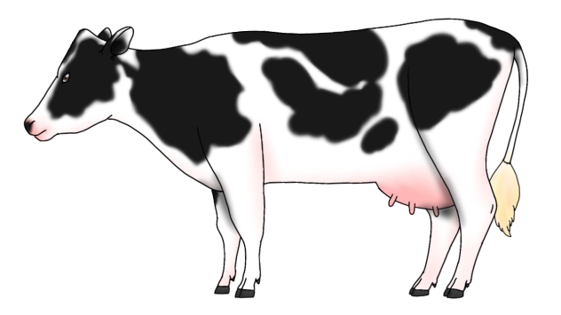Holstein Friesian Cow render