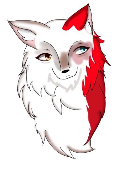 Shoto Todoroki as a fox